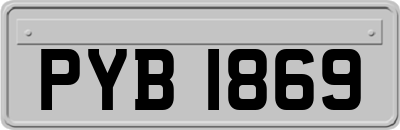 PYB1869