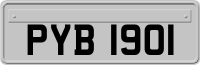 PYB1901