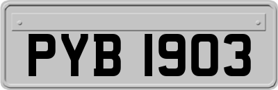 PYB1903