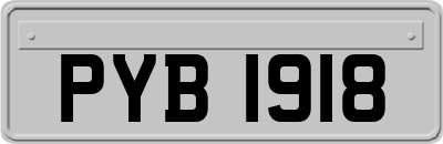 PYB1918