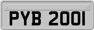 PYB2001