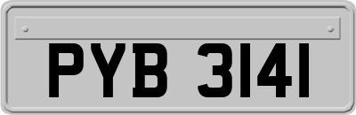 PYB3141