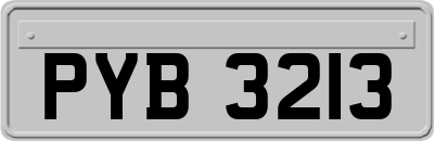 PYB3213