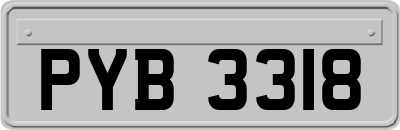 PYB3318