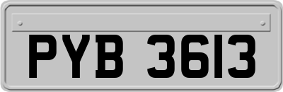 PYB3613