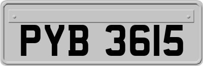 PYB3615