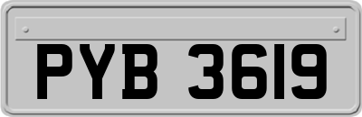 PYB3619