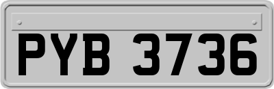 PYB3736