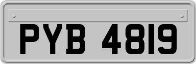 PYB4819