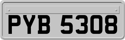 PYB5308