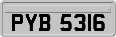 PYB5316