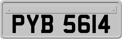 PYB5614