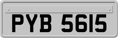 PYB5615