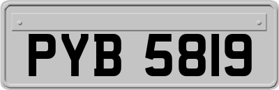 PYB5819