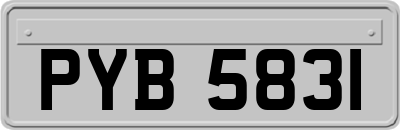 PYB5831