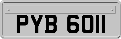 PYB6011