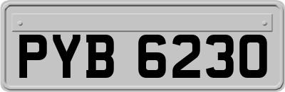 PYB6230