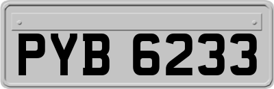 PYB6233