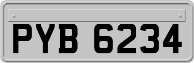 PYB6234