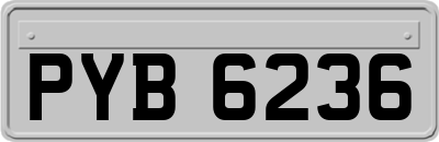 PYB6236