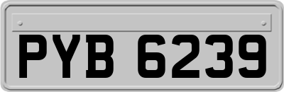 PYB6239