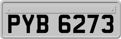 PYB6273