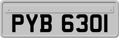 PYB6301