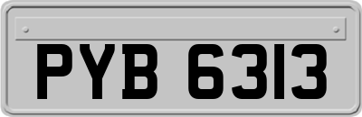 PYB6313