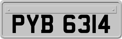 PYB6314