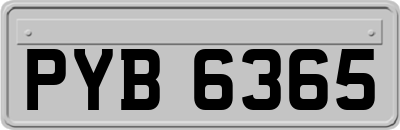 PYB6365