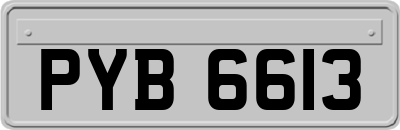 PYB6613