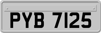 PYB7125