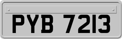 PYB7213