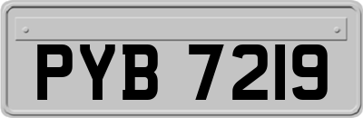 PYB7219