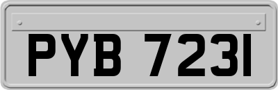 PYB7231