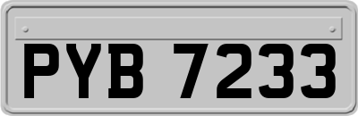 PYB7233