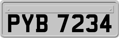 PYB7234