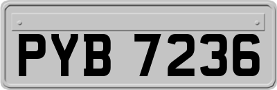 PYB7236