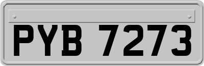 PYB7273