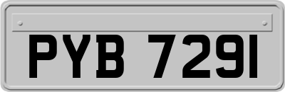 PYB7291