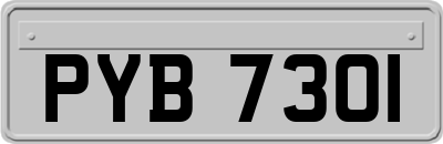 PYB7301