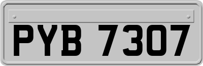 PYB7307