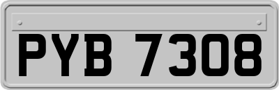 PYB7308