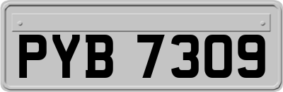 PYB7309