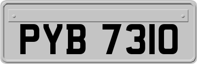 PYB7310