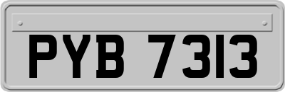 PYB7313