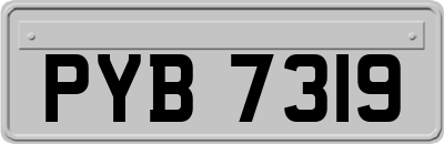 PYB7319