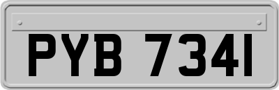 PYB7341