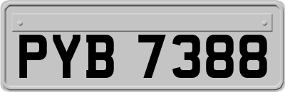 PYB7388