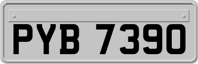 PYB7390